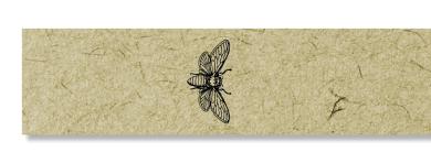 Artikelbild des Artikels “Gewährverschluss 2700 + Biene “