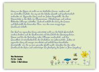 Artikelbild 2 des Artikels “Flyer 021 “