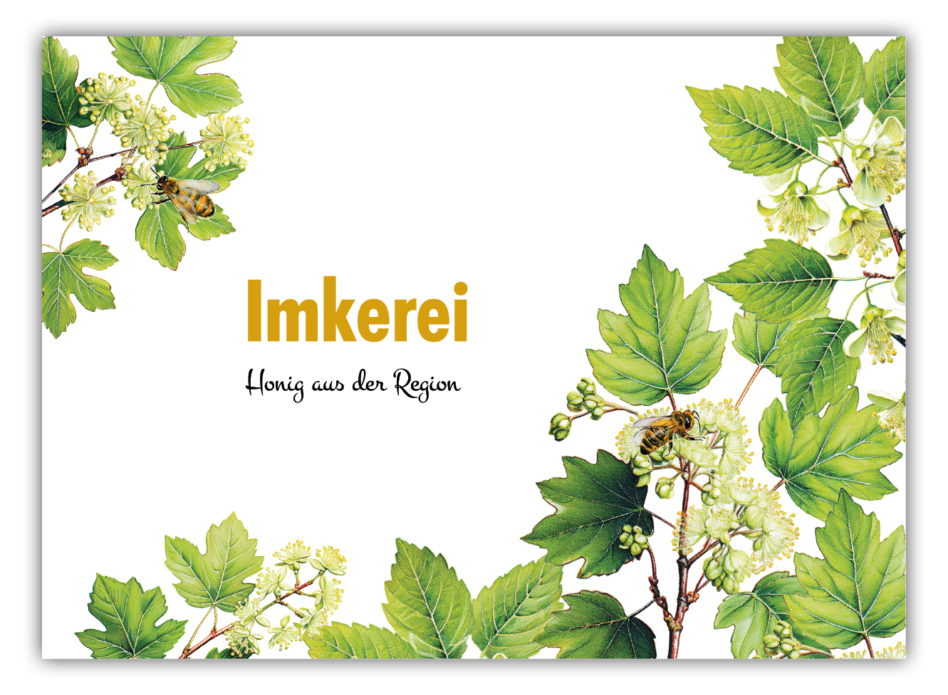 Artikelbild 1 des Artikels “Flyer 008 “