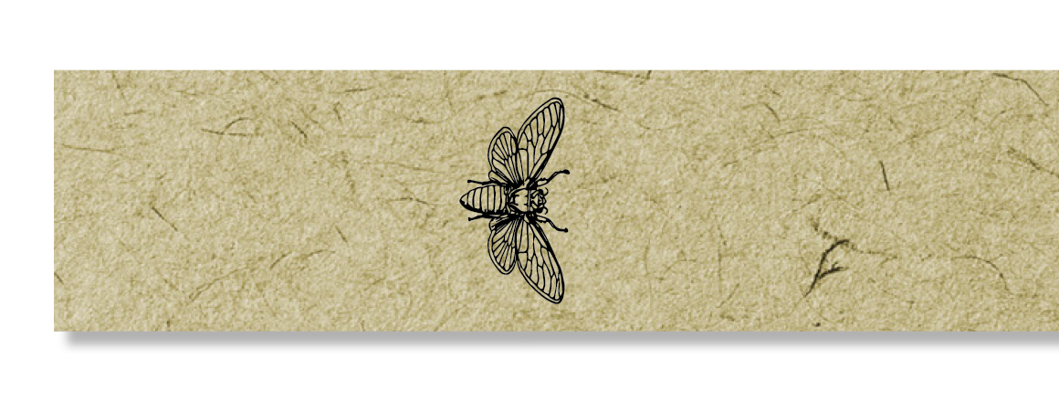 Artikelbild 1 des Artikels “Gewährverschluss 2700 + Biene “